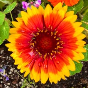 Meet your Posher, Robbie